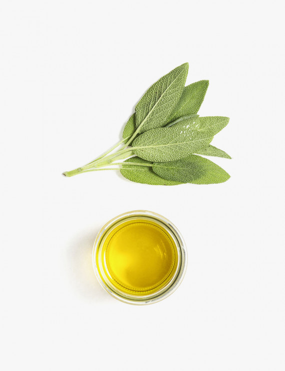 Aloe Hyaluron Cream