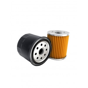Oil Filter For Renault Mann