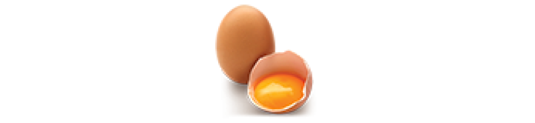 Egg