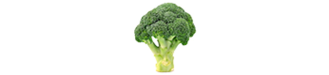Broccoli