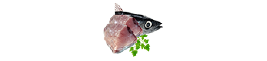 Fish Meat